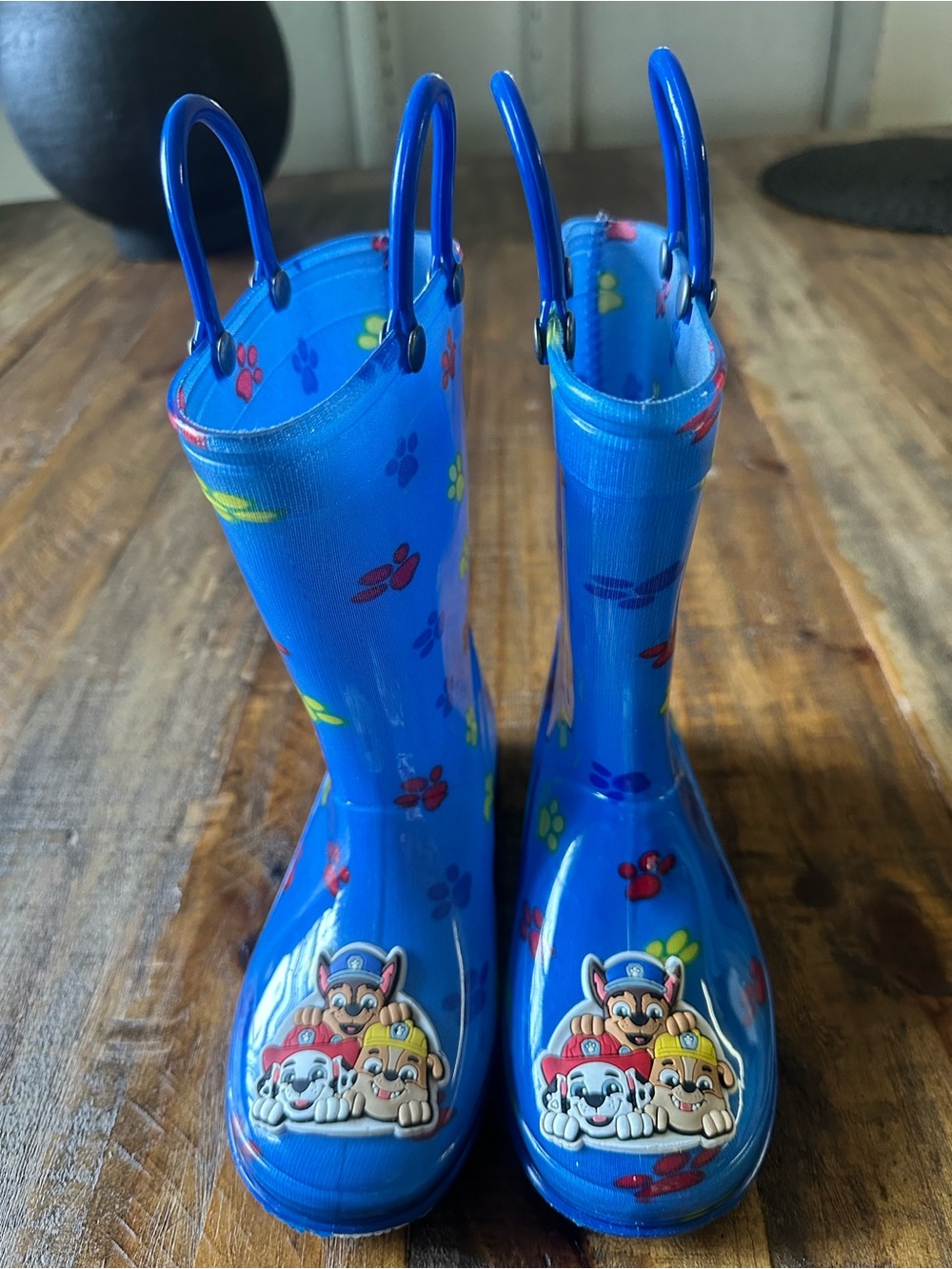 Nickelodeon Blue Kids Rain Boots with Paw Print and Character Appliques